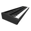 FP-60X-6.png