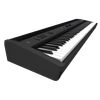 FP-60X-1