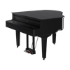GP-9-PE-Main2