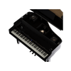 Piano-De-Cauda-Digital