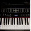 LX-5-PE-2m