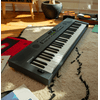 GOKEYS5-GT-2m